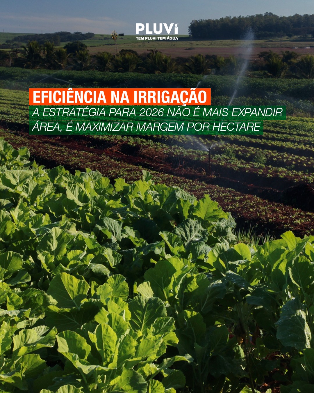Margens mais apertadas, custos em alta. A nova estratégia não é expandir área, é tirar mais resultado de cada metro quadrado.

A eficiência na irrigação viabiliza isso:

- Gestão por m², sem desperdício
- Redução de custos por unidade produzida
- Maximização da margem com o que já se planta

O produtor que busca eficiência não compra qualquer produto. Ele procura soluções completas, tecnologia que entrega resultado e produtos duráveis.
Sua loja preparada para atender esse cliente começa com um fornecedor que entende de resultado.

Seja um revendedor Pluvi!

📲 Encontre os produtos Pluvi nas melhores lojas de irrigação.

#irrigação #eficiêncianocampo #maximizaçãodemargem #Pluvi