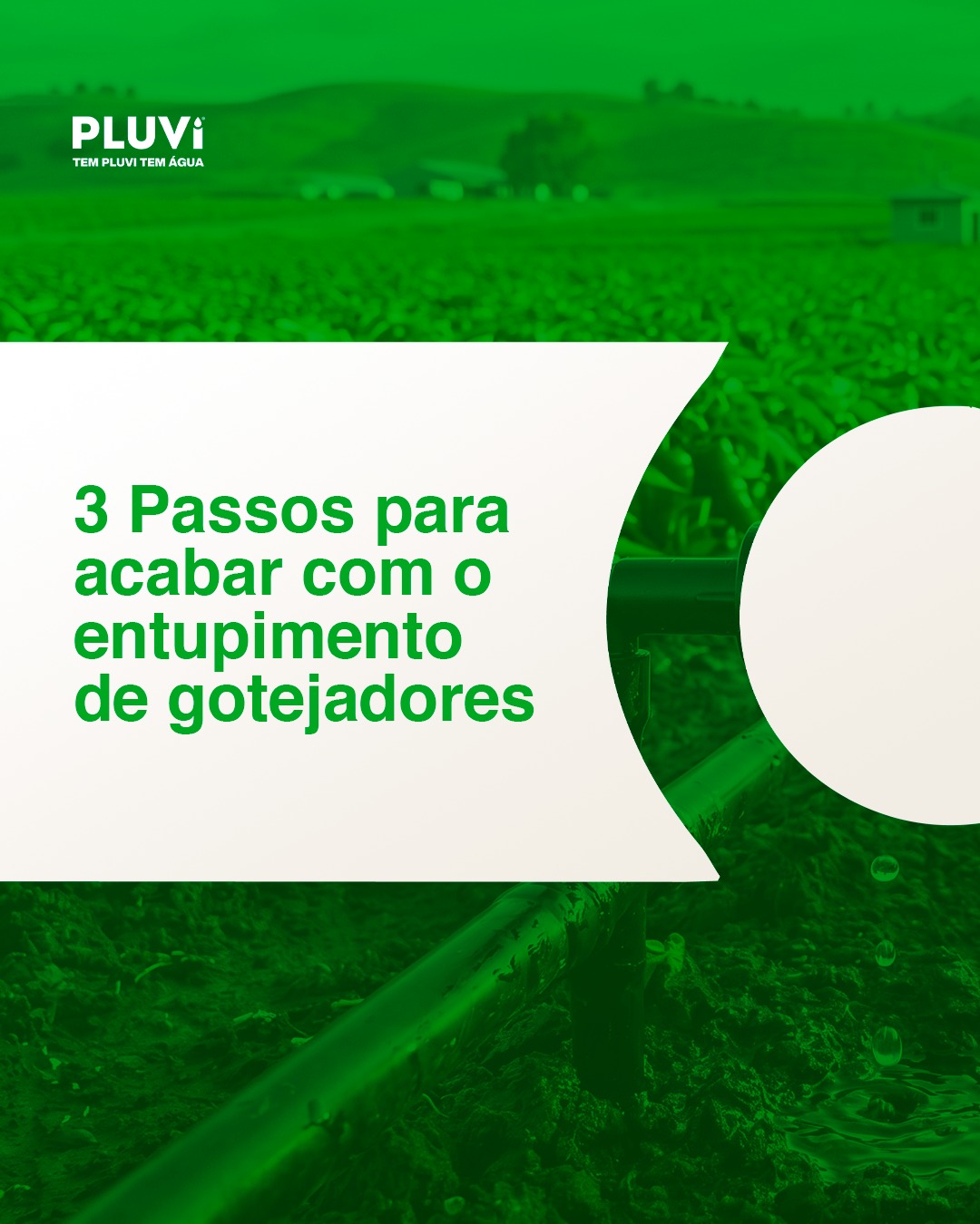 Gotejador entupido é sinônimo de prejuízo no campo! 🚫💧

Se a água não chega com uniformidade em toda a lavoura, sua produtividade cai e o desperdício de recursos aumenta.

Preparamos um guia rápido com os 3 passos fundamentais para você aplicar a "Inteligência Hídrica" e manter seu sistema rodando com 100% de eficiência. 🚀

Arraste para o lado e confira! ➡

📚 Quer dominar a técnica? Clique no link da nossa bio e baixe o catálogo técnico completo da Pluvi Irrigação!